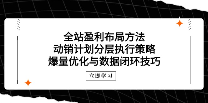 全站盈利布局方法：动销计划分层执行策略，爆量优化与数据闭环技巧-Zv头条
