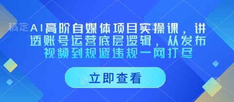 AI高阶自媒体项目实操课，讲透账号运营底层逻辑，从发布视频到规避违规一网打尽-Zv头条
