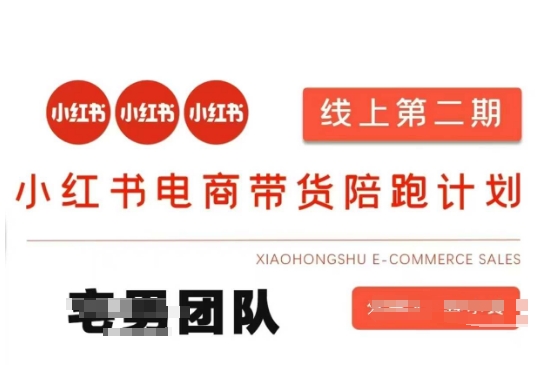 小红书电商带货课2期，月利润20个的小红书电商的有货源，无货源，虚拟产品，付费投流等整套玩法-Zv头条