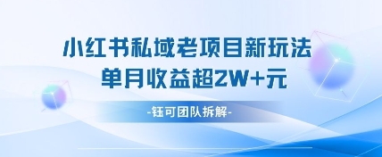 小红书私域项目新玩法，单月变现过W+-Zv头条