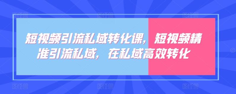 短视频引流私域转化课，短视频精准引流私域，在私域高效转化-Zv头条
